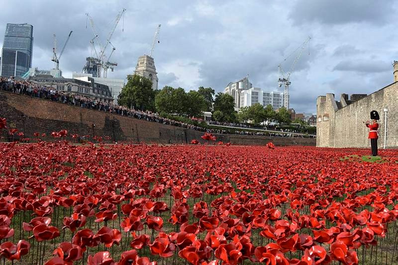 Poppies at the Tower of London